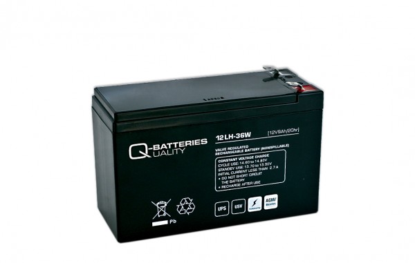 Ersatzakku für APC-Back-UPS RBC110 - fertiges Batterie-Modul zum Austausch